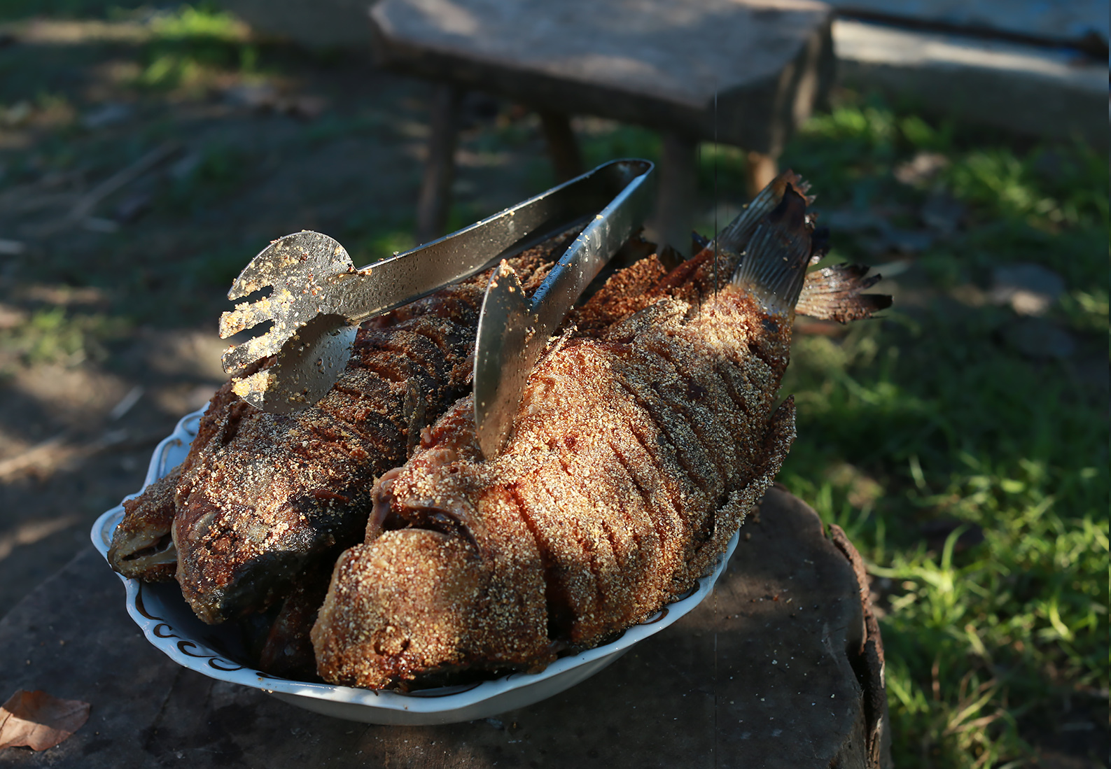 PhotoAromaVentura 21